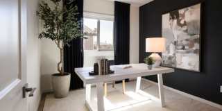 NEWLY CONSTRUCTED/ PVT YARD / NEAR OLD TOWN - SINGLE FAMILY Gallery 26