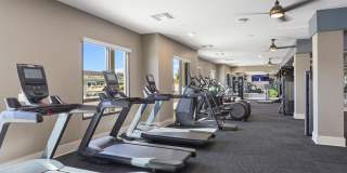 Alta Rise Gallery 13