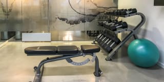Beryl Gallery 15