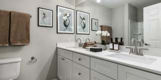 Oltera in SoEast Gallery 13