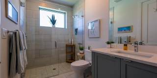 Altura Bayshore Gallery 32