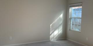 119 Wethington Way Gallery 11