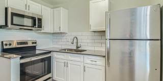 Rise at the Palms Gallery 33