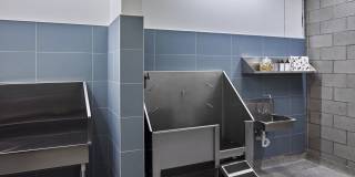 Skye on 6th Gallery 49