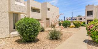 Cove on 44th Gallery 11