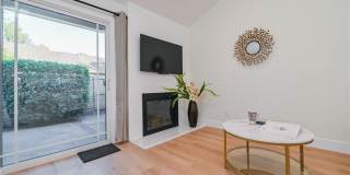15 Camphor S Gallery 18