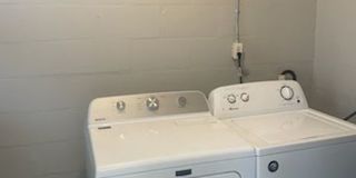 3 BR/1BA | Newly Renovated Single Family Home | Gated backyard | In South Tampa! Gallery 14