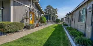 North Trace Village Apartments Gallery 13