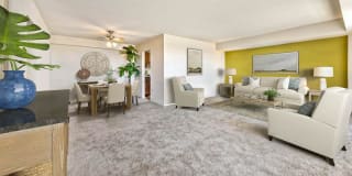 Cavalier Club Gallery 8