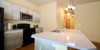 Settlement Place Gallery 217