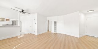 PW 4143 Gallery 5