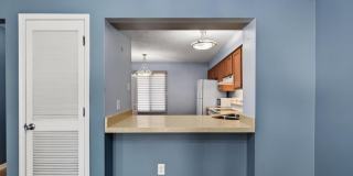 11263 Shady Glen Dr Gallery 14