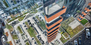 Nevéseno Gallery 24