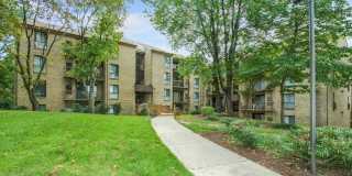 The Cloisters Gallery 55