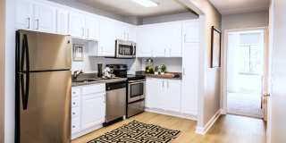 Avana Weymouth Gallery 1