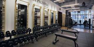 Eugene Eugene Gallery 11