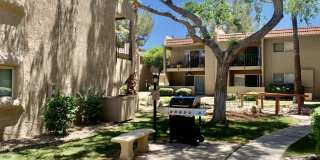 7430 E CHAPARRAL Road Gallery 6