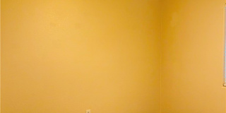 9160 Dimpled Court Gallery 19