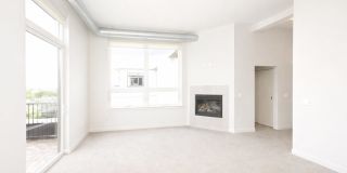 The Elysian Gallery 286