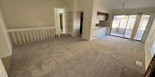 Live in the Timbers Gallery 6