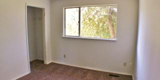 Home is Where the Heart is in Bellevue! Gallery 21