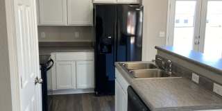 Now Pre-Leasing! Modern 3-Bedroom, 2-Bath Home in Faulkner Crossing Gallery 7