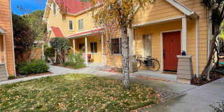 Mission Orchard Gallery 23