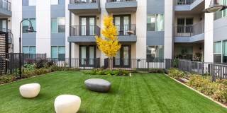 Luca Apartments Gallery 24