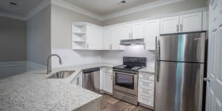 Paces Park Gallery 13