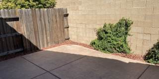 1419 Cheetah Street Gallery 20
