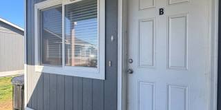 907 White Birch Gallery 1