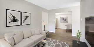 Ascent at Havana Gallery 4