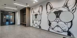 Aura Avant Gallery 14