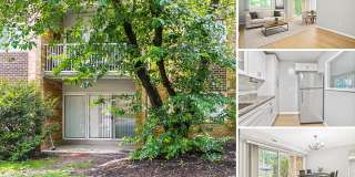 Rarely available 3BR/2BA updated ground-floor corner unit with walk-out patio Gallery 1