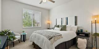 Meritum Evergreen Gallery 10