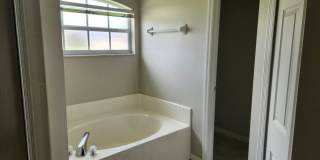 BEAUTIFUL 3 BR / 2 BA HOME AVAILABLE IN MIRROR LAKES Gallery 12