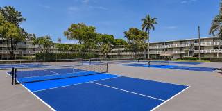 Set Point Set Point Gallery 13