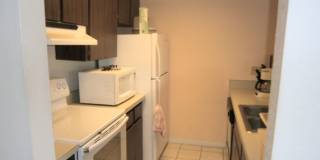 5942 Peregrine Gallery 6