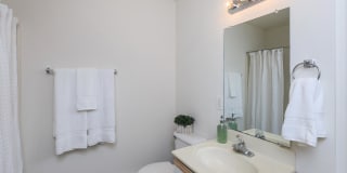 Hampstead Place Gallery 46