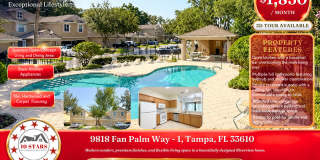 9818 Fan Palm Way - 1 Gallery 1