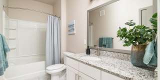 Vital at Springbrook Apartments Gallery 18