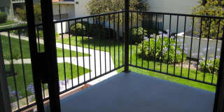 Bay Laurel Gallery 5