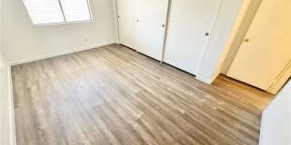 1008 Falconhead Lane Gallery 12