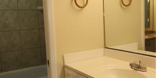 6182 Principia Drive Gallery 17