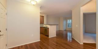 1 Bed 1 Bath - North Bethesda Condo - 1 Reserved Parking Space Gallery 6