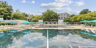 Presidential City Gallery 33