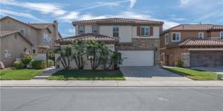 27194 Red Maple Gallery 1