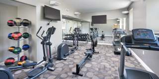 Rodgers Forge Gallery 19