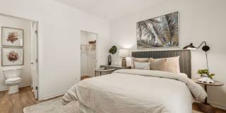 Hamlet Wildlight Gallery 18