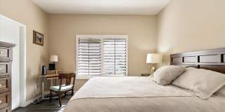 54838 Oak Tree Gallery 27